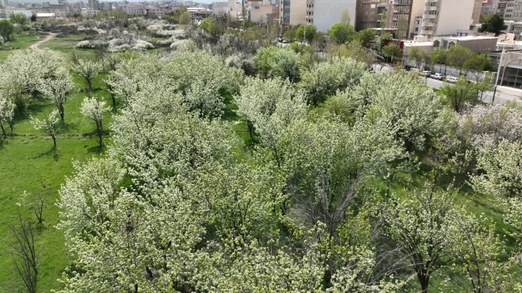 DJI_0022.MP4_20240424_161239.105