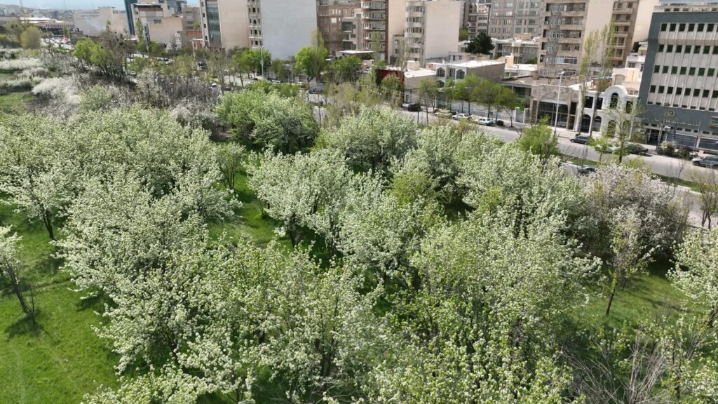 DJI_0022.MP4_20240424_161243.409
