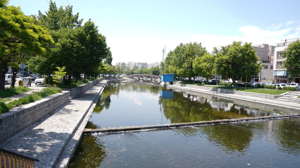 DSC09728